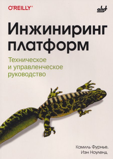 Камиль Фурнье, Иэн Ноуленд Инжиниринг платформ
