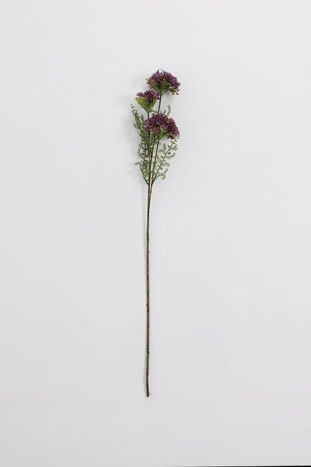 Ветка декоративная Integrifolia EDG 832₽