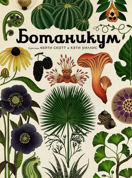 Кэти Уиллис Ботаникум