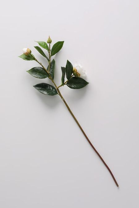 Ветка декоративная розы в ассортименте Home Philosophy 330₽