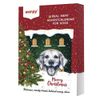Dog Адвент-календарь