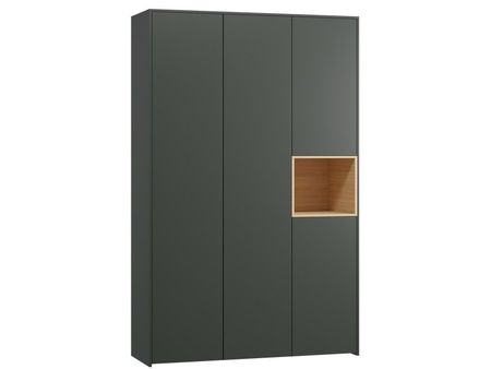 Распашной шкаф divanru Висмар-31 Forest 37990₽