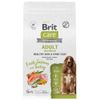 Care Healthy Skin & Shiny Coat для средних пород, лосось с индейкой сух. 1,5кг