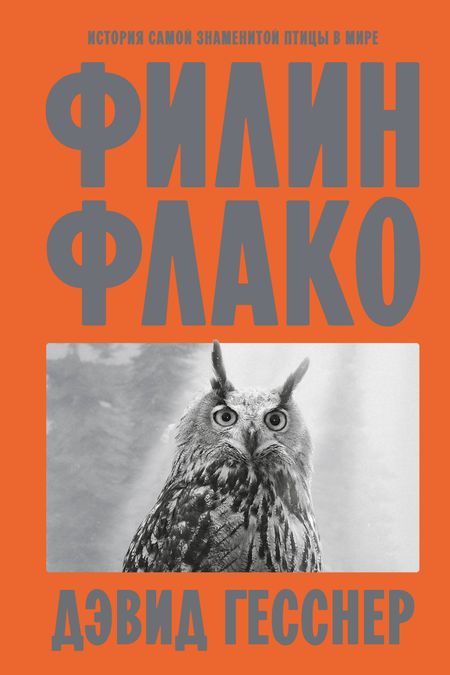 Гесснер Дэвид Филин Флако: История самой знаменитой птицы в мире
