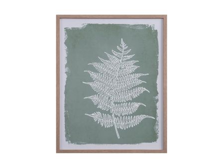 Картина divanru Ботаник Green Fern 1490₽