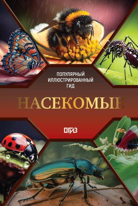 Анна Артуровна Спектор Насекомые. Иллюстрированный гид