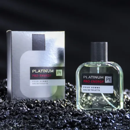 Туалетная вода мужская pro-energy platinum, 100 мл (по мотивам egoiste platinum (chanel)
