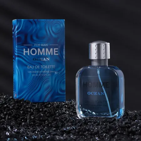Туалетная вода мужская homme ocean, 100 мл (по мотивам acqua di gio (g.armani)