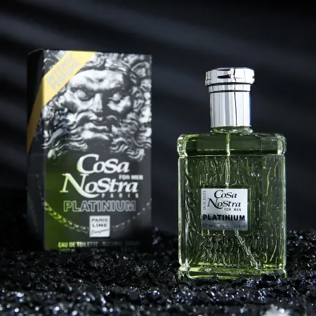 Туалетная вода мужская platinium intense perfume, 100 мл