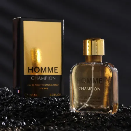 Туалетная вода мужская homme champion, 100 мл (по мотивам 1 million (p.rabanne)