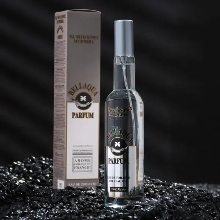 Туалетная вода мужская то, чего хочет мужчина bellaqua parfum, 100 мл