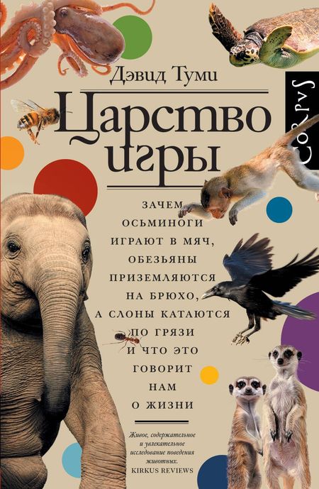 Туми Дэвид Царство игры
