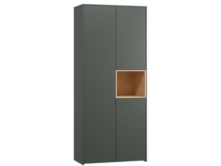 Распашной шкаф divanru Висмар-21 Forest 29990₽