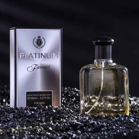 Туалетная вода мужская favorit platinum, 100 мл (по мотивам egoiste platinum (chanel)