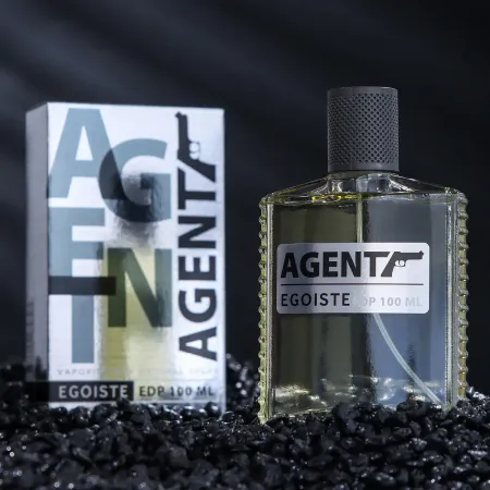 Парфюмерная вода мужская agent egoiste, 100 мл (по мотивам egoiste platinum (chanel)