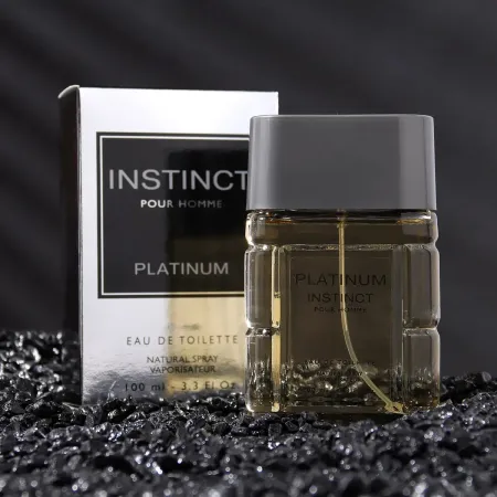 Туалетная вода мужская platinum, 100 мл (по мотивам egoiste platinum (chanel)
