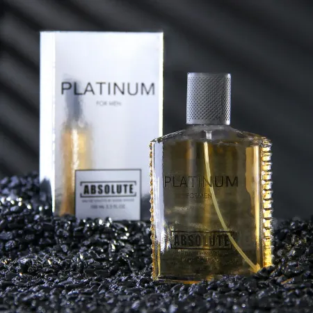 Туалетная вода мужская absolute platinum, 100 мл (по мотивам egoiste platinum (chanel)