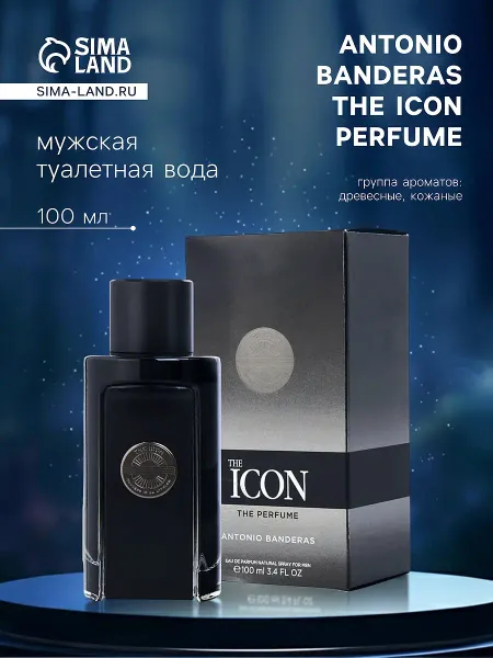 Туалетная вода мужская the icon perfume, 100 мл