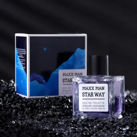 Туалетная вода мужская maxx man star way, 100 мл (по мотивам egoiste platinum (chanel)