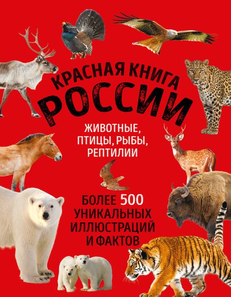 Добрыня Юлия Михайловна Красная книга России. Большой формат. Более 500 уникальных иллюстраций и фактов (новое издание) (основной)
