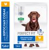 Сухой корм для взрослых собак PERFECT FIT Adult курица, 1,4 кг