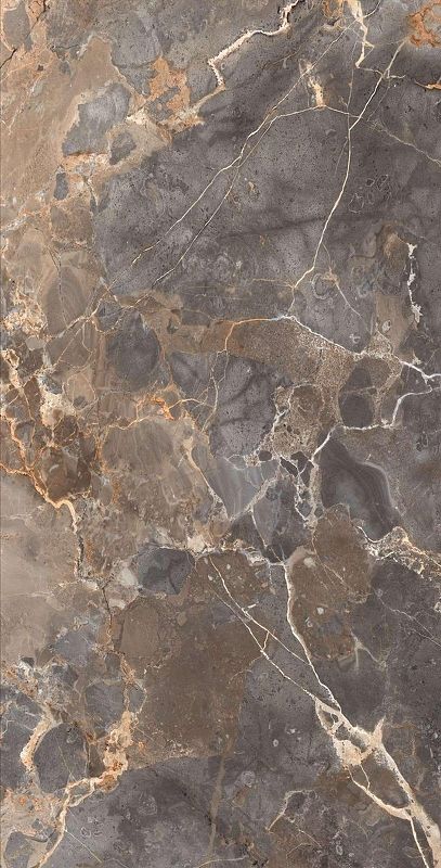 Керамогранит Arcadia Ceramica Imperial Nero FP1005-A темно-серый с золотистыми прожилками полированный 60х120 см 2450₽