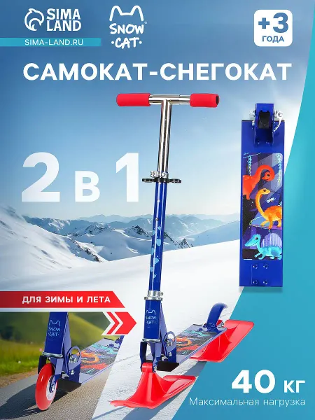Самокат-снегокат 2 в 1