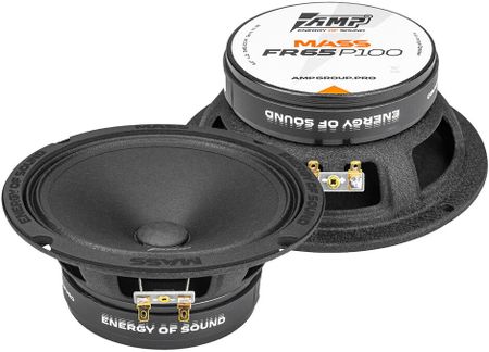 Широкополосная АС AMP Mass FR65P100