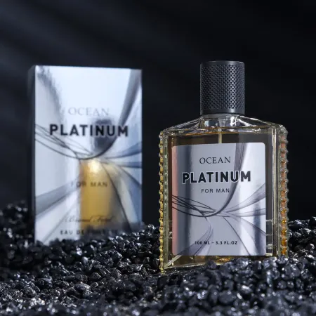 Туалетная вода мужская ocean platinum, 100 мл (по мотивам egoiste platinum (chanel)