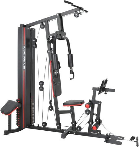 Силовой комплекс Alpin Neo Gym GX-300