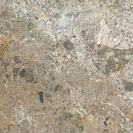 Керамогранит El Molino Camelot Arena 58х58 см