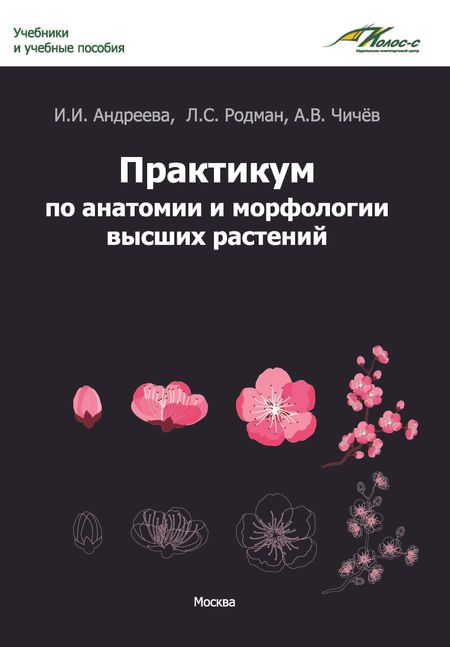 Ивелена Ивановна Андреева, Александр Владимирович Чичёв, Лара Самуиловна Родман Практикум по анатомии и морфологии высших растений: учебное пособие