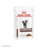 Royal Canin Gastrointestinal для кошек, применяемый при расстройствах пищеварения, в паучах
