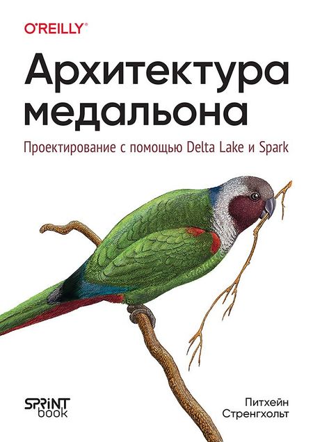 Питхейн Стренгхольт Архитектура медальона. Проектирование с помощью Delta Lake и Spark