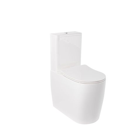 Унитаз Kludi Resa R 23WCB0543 цвет Белый глянцевый без бачка и сиденья 45342₽