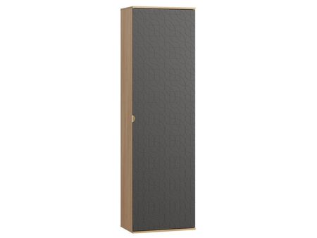Распашной шкаф divanru Монблан 11-63x214 Ритм Графитовый 22990₽