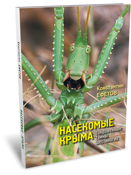 None Насекомые Крыма. Сокровенные тайны шестиногих