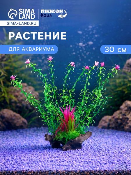 Растение искусственное аквариумное на платформе в виде коряги, 30 см, зелёное
