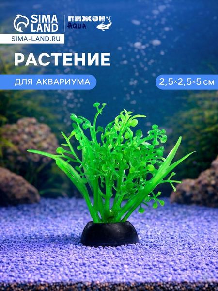 Растение для аквариума и террариума, 5 см, фасовка 10 шт