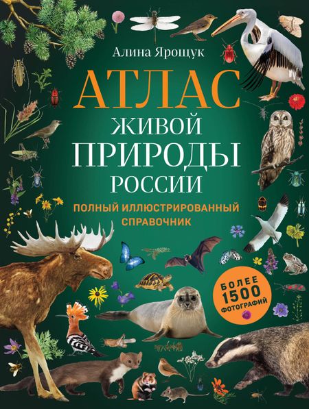 Алина Игоревна Ярощук Атлас живой природы России. Полный иллюстрированный справочник