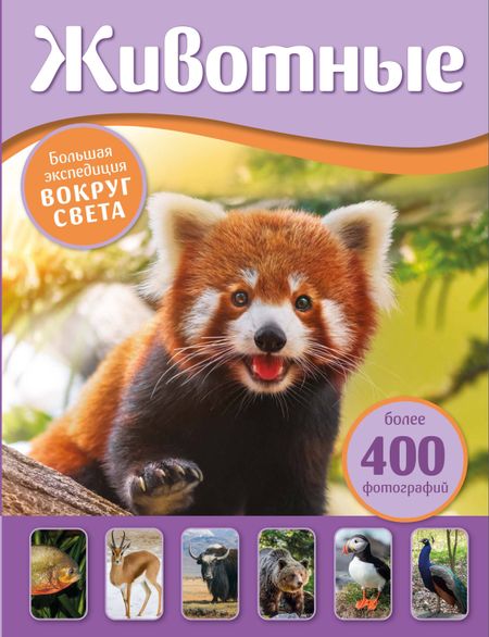 Занонцелли Анастасия Животные. Большая экспедиция вокруг света