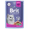 Brit Premium полнорационный влажный корм для стерилизованных кошек, с индейкой и сыром, кусочки в желе, в паучах