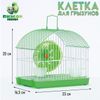 Клетка для грызунов укомплектованная RT-2c, 21 х 15,5 х 18 см, зеленая