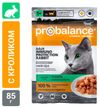 Корм влажный для кошек ProBalance Защита иммунитета с кроликом в соусе