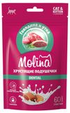 Лакомство для кошек и котят Molina Dental Хрустящие подушечки с начинкой из говядины и утки Китай
