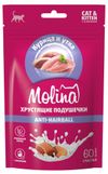 Лакомство для кошек и котят Molina Anti-hairball Хрустящие подушечки с начинкой из курицы и утки Китай